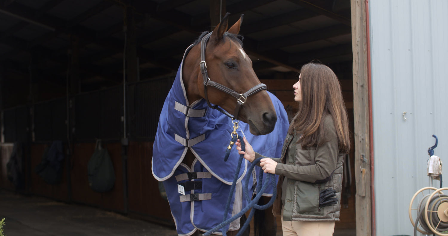 bay horse wearing blue blanket with brunette girl stand in doorway of barn. winter turnout blankets for horses