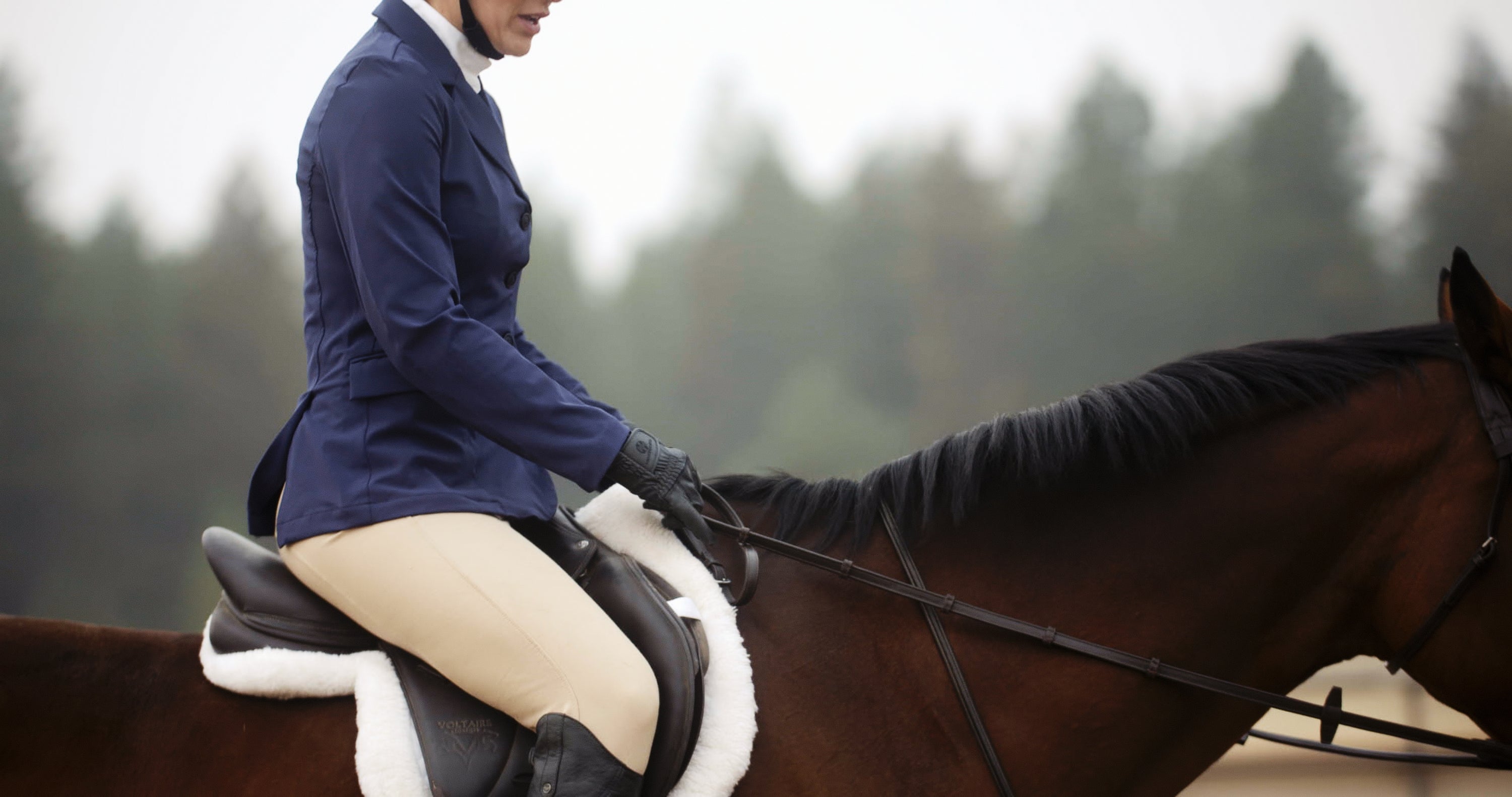 What Horse Tack Do You Need for Your Next Show? –