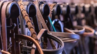 Four DIY Projects for Equestrians  You May Not Have Thought Of