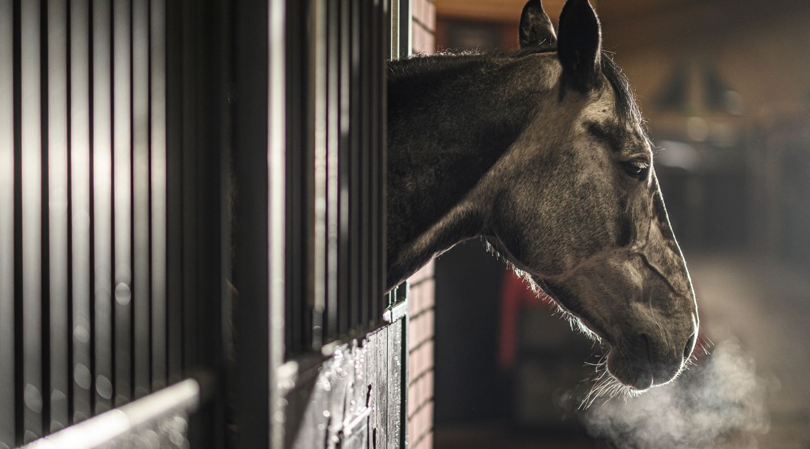 Winterizing the Stable