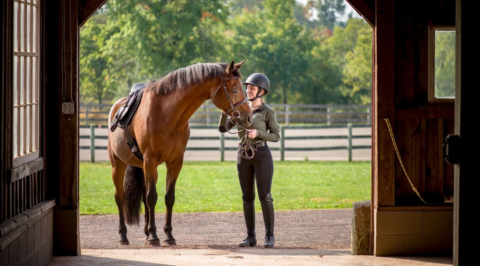 What Equestrians are Thankful For in 2020