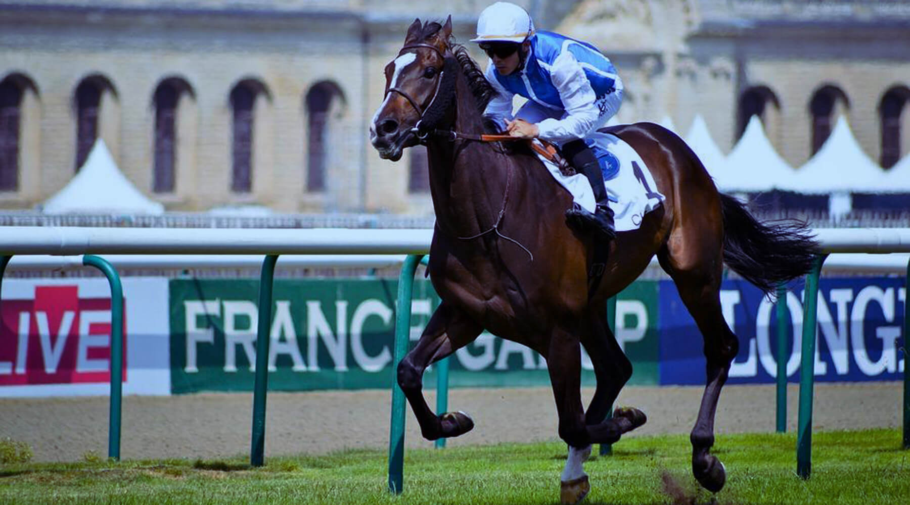 What Does It Take to Become A Jockey?