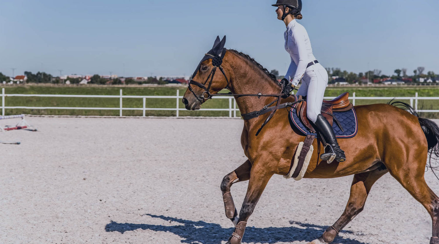 What are the Best Breeches and How to Choose the Perfect Pair ?