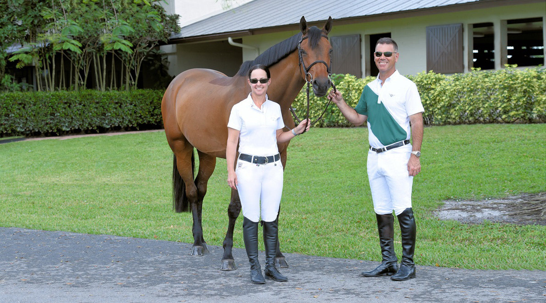 Essentials For A Clean Horse:  A Guide to Grooming and Horse Health Care