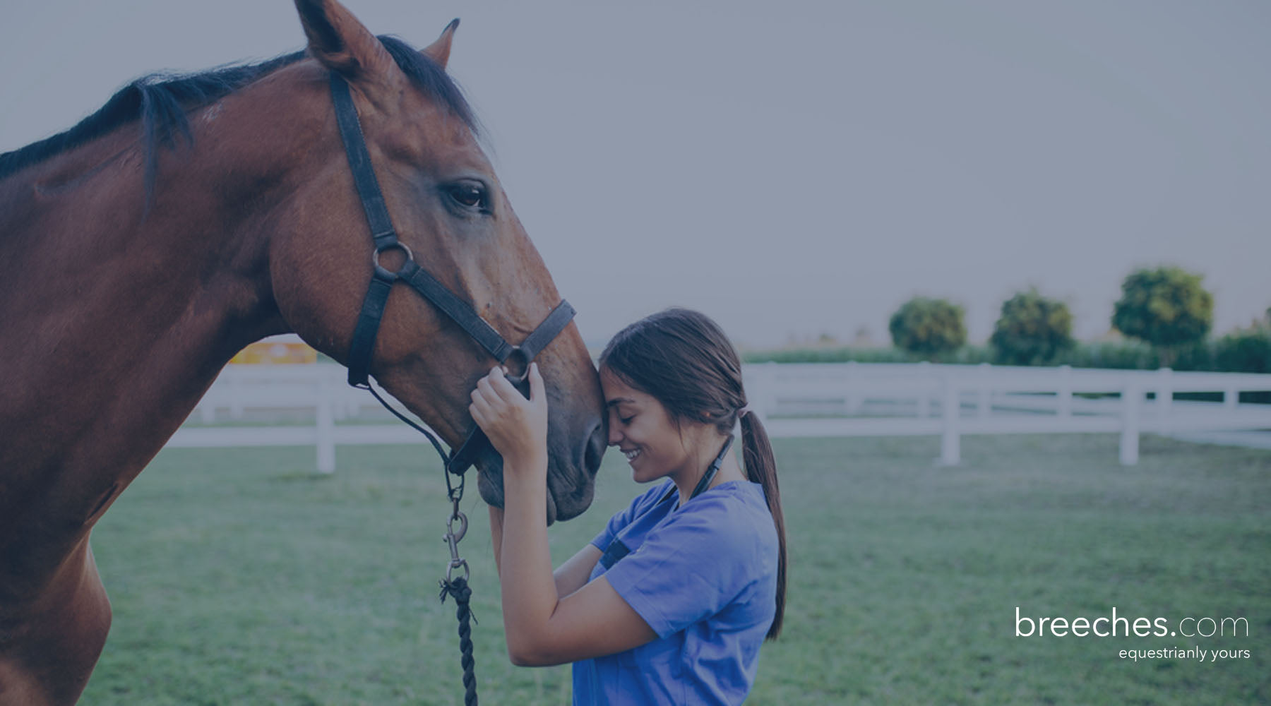 How riders can protect themselves from COVID-19 and support horse immune system