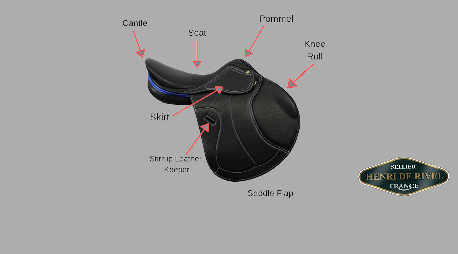 Guide to parts and functions of the English Saddle