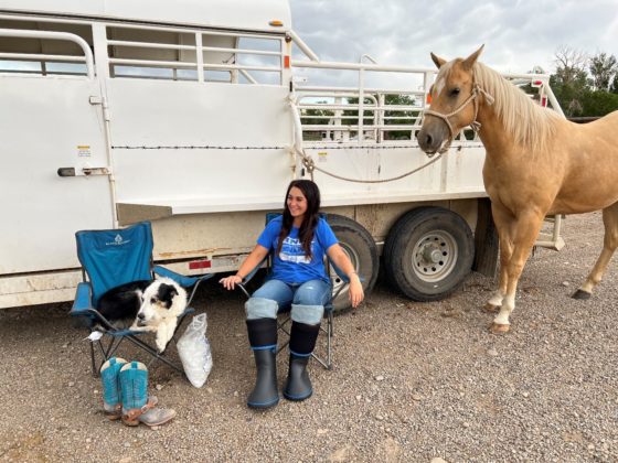 How To Help Your Horse With Cold Therapy Boots