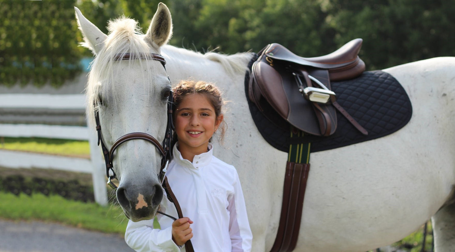 What are the different Types of Horse Saddles and Their Uses