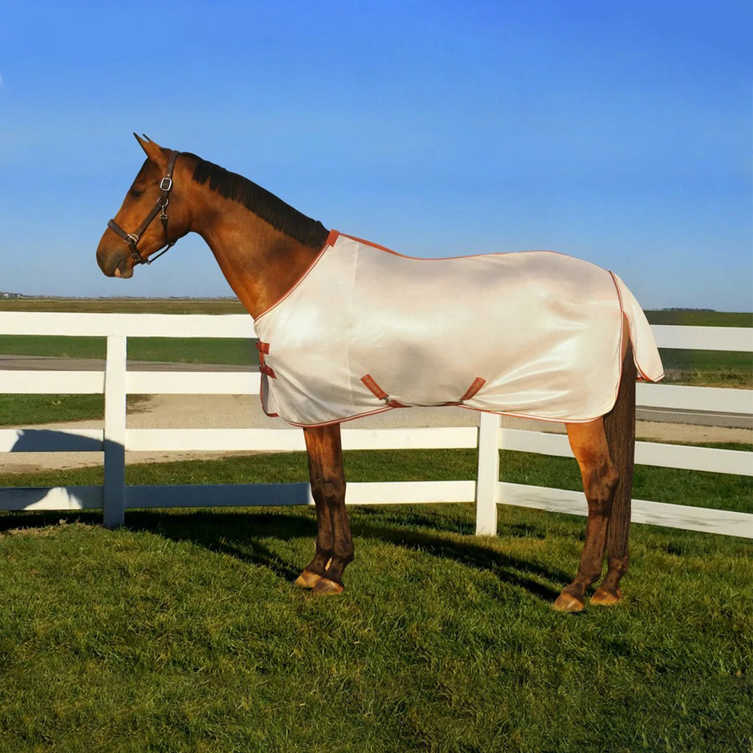 Horse Clothing