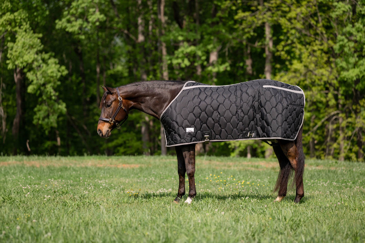 TuffRider Shelter Closed Front Heavyweight Stable Blanket