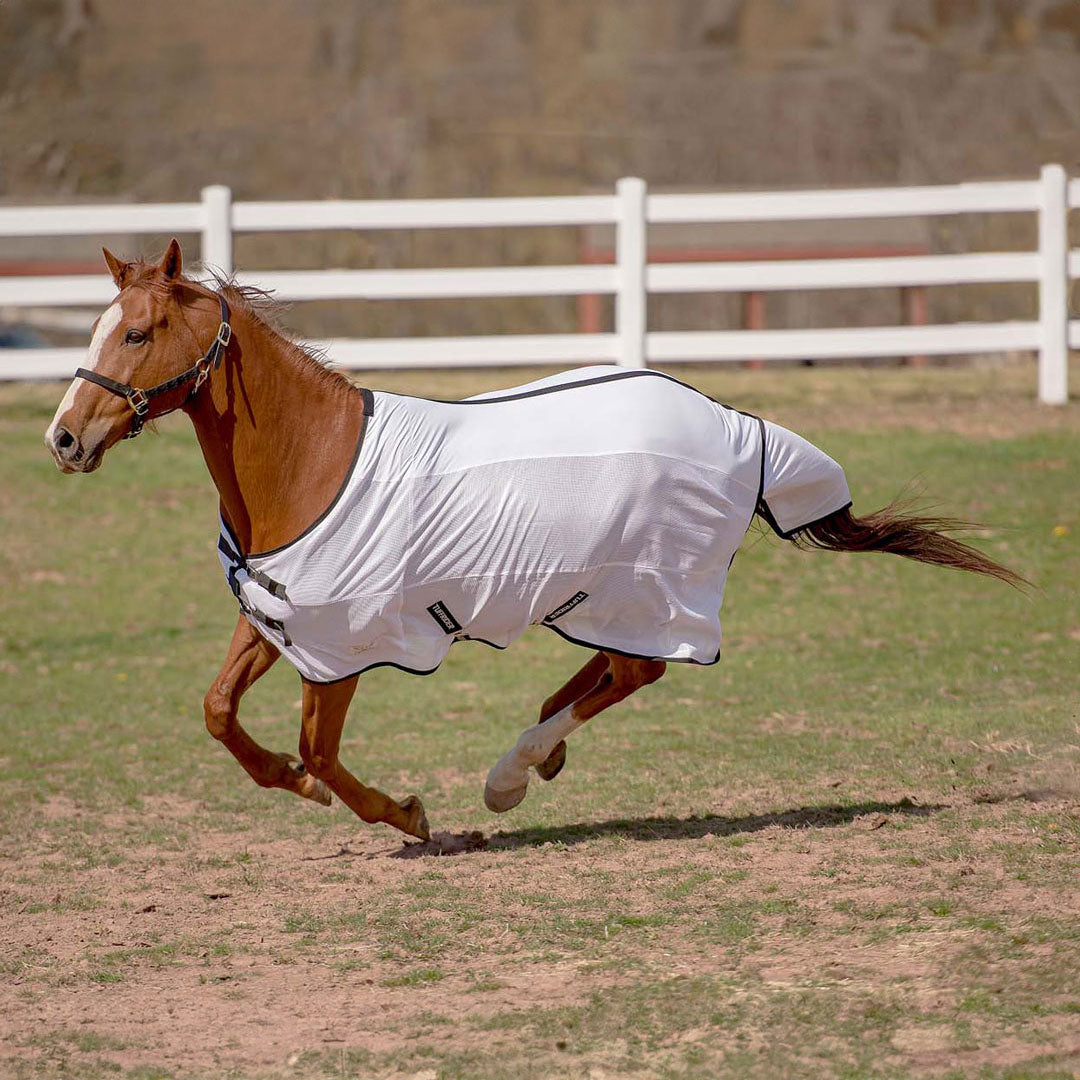 TuffRider Sport CoolMax/Mesh Blend Standard Neck Fly Sheet