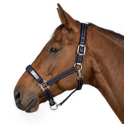 TuffRider FieldSafe Halter