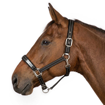 TuffRider FieldSafe Halter