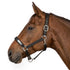 TuffRider FieldSafe Halter