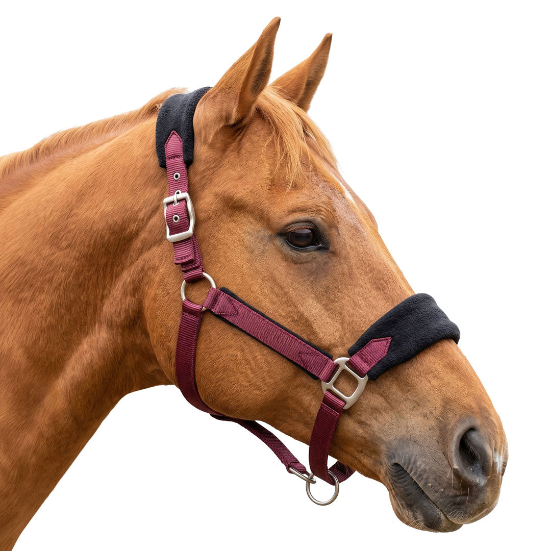 TuffRider Dual-Adjust ComfortFit Breakaway Halter
