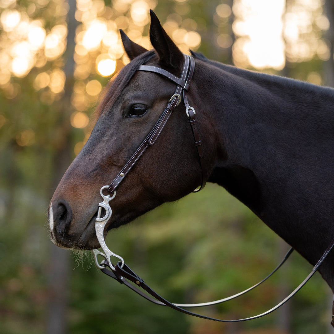 TuffRider WESTERN BROWBAND HEADSTALL WITH CHICAGO SCREW BIT ENDS