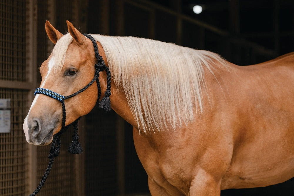 Professionals Choice Cowboy Braided Halter 10&