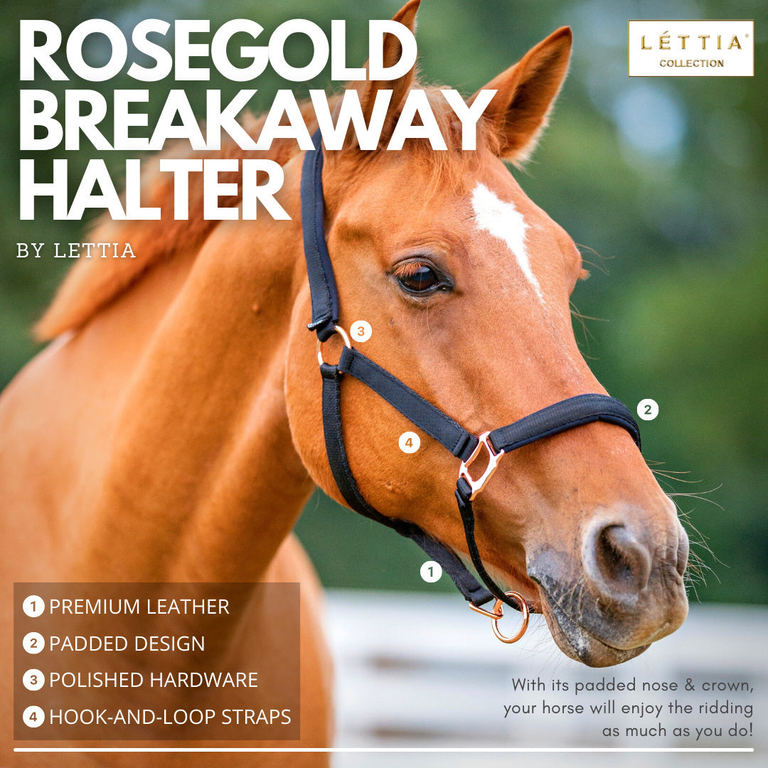 Lettia Rosegold Padded Leather Breakaway Halter