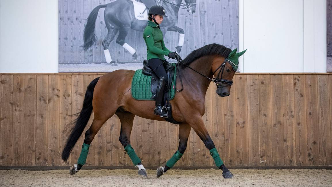 LeMieux Loire Classic Satin Dressage Square Saddle Pad-Hunter Green