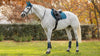LeMieux Suede Close Contact Square Saddle Pad