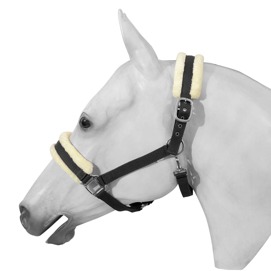 Bride De Dressage Henri De Rivel Advantage - Taille Cob, Cuir Havane, Rênes Lacées, Rembourrée - Neuve