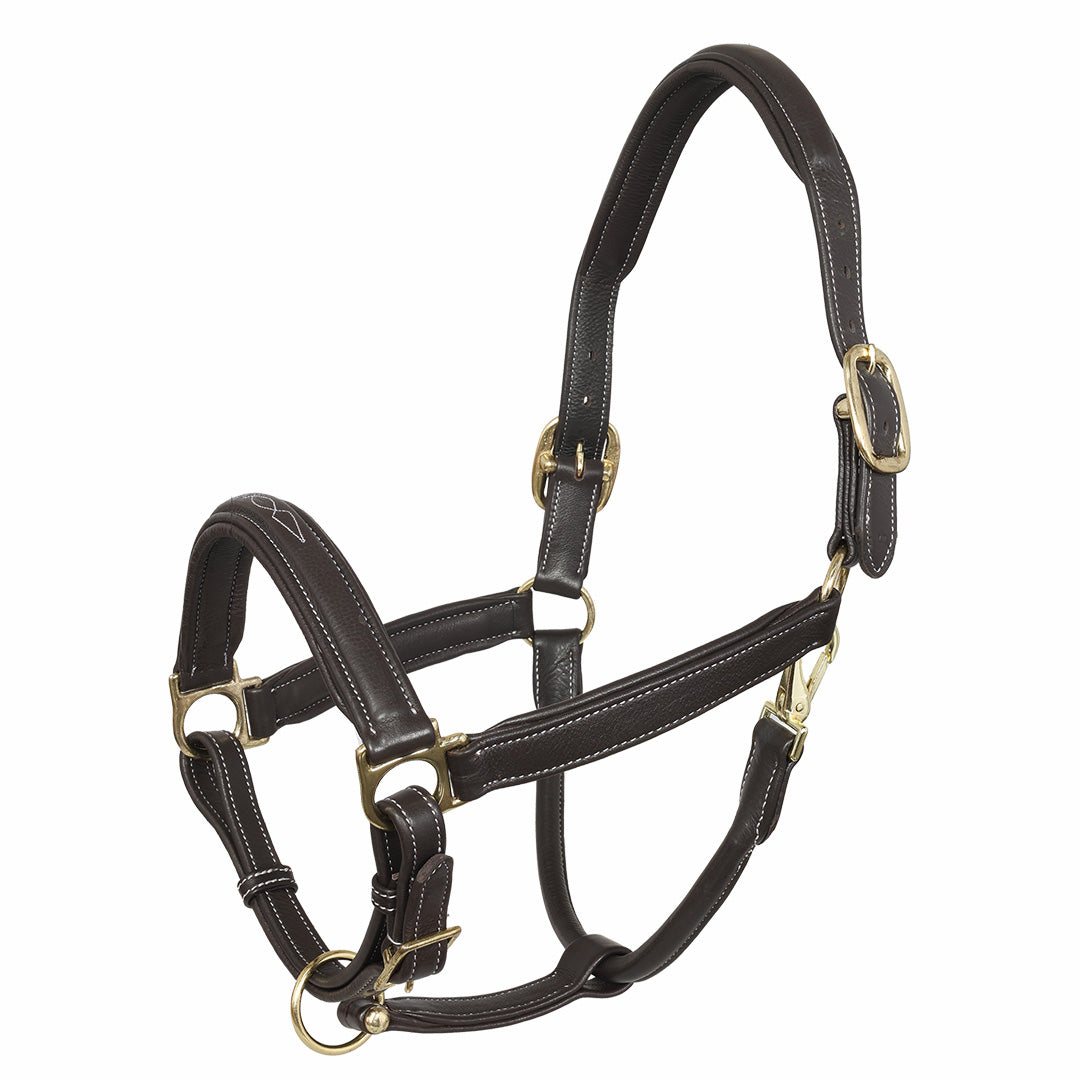 Henri de Rivel Laureate Fancy Stitched Grippy Leather Halter with Brass Fittings