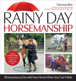 Rainy Day Horsemanship