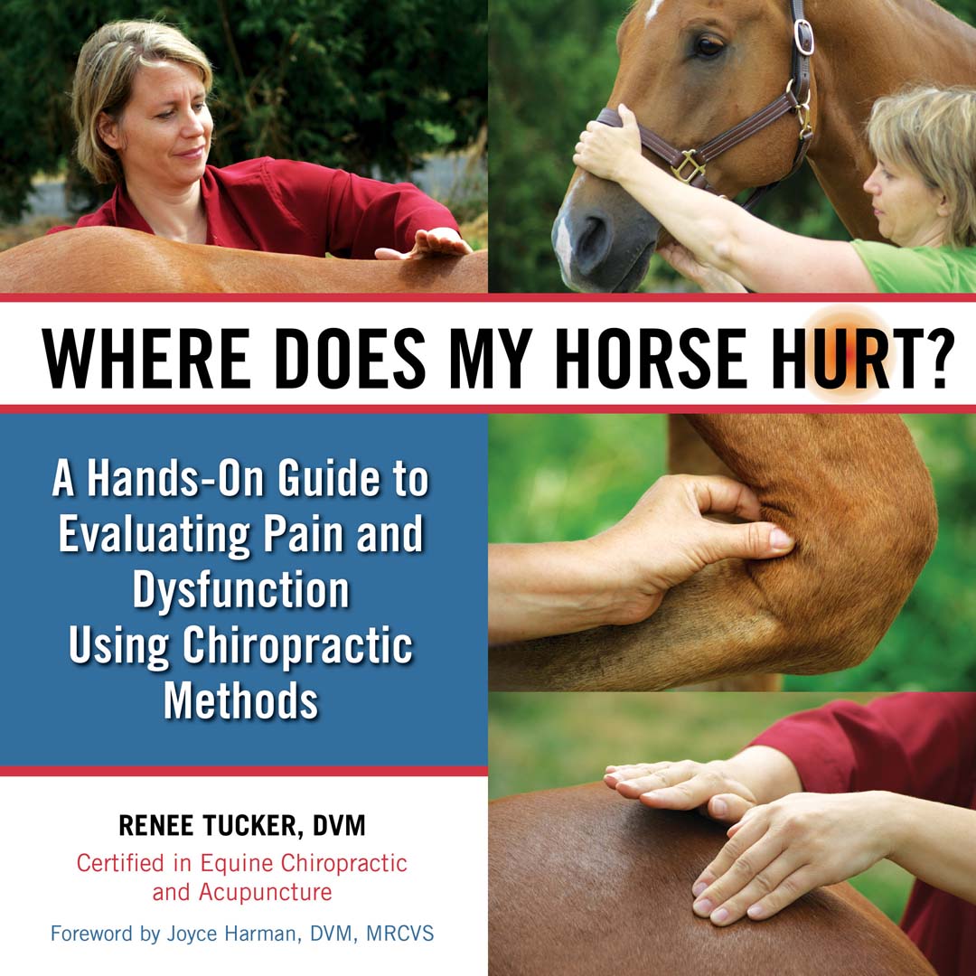 Horse Health Collection