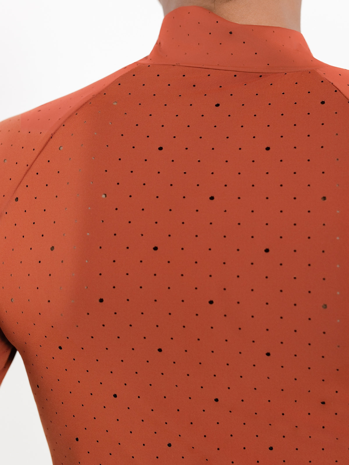 Dapplebay Aircut Mock Neck LS Top-Rust