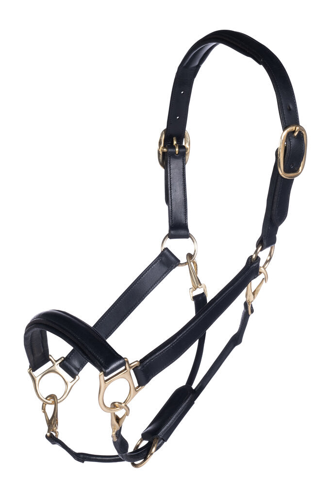 HKM Leather Head Collar - Breeches.com