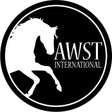 AWS International logo