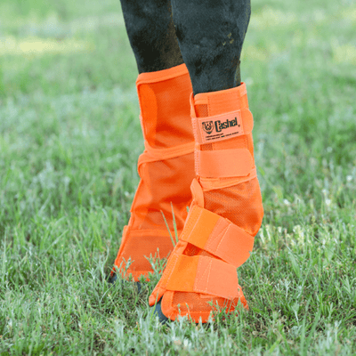 Cashel Crusader Horse Leg Guard Fly Boots 3