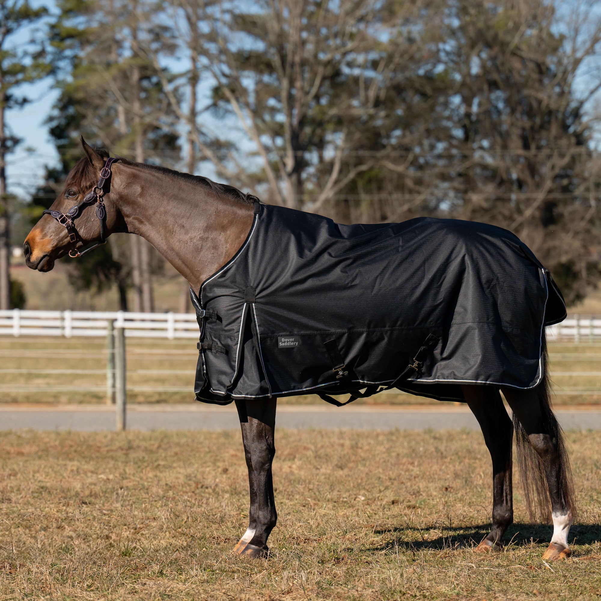 Dover Saddlery 600 D Ripstop Standard Neck Turnout Blanket with 100 GSM Fill