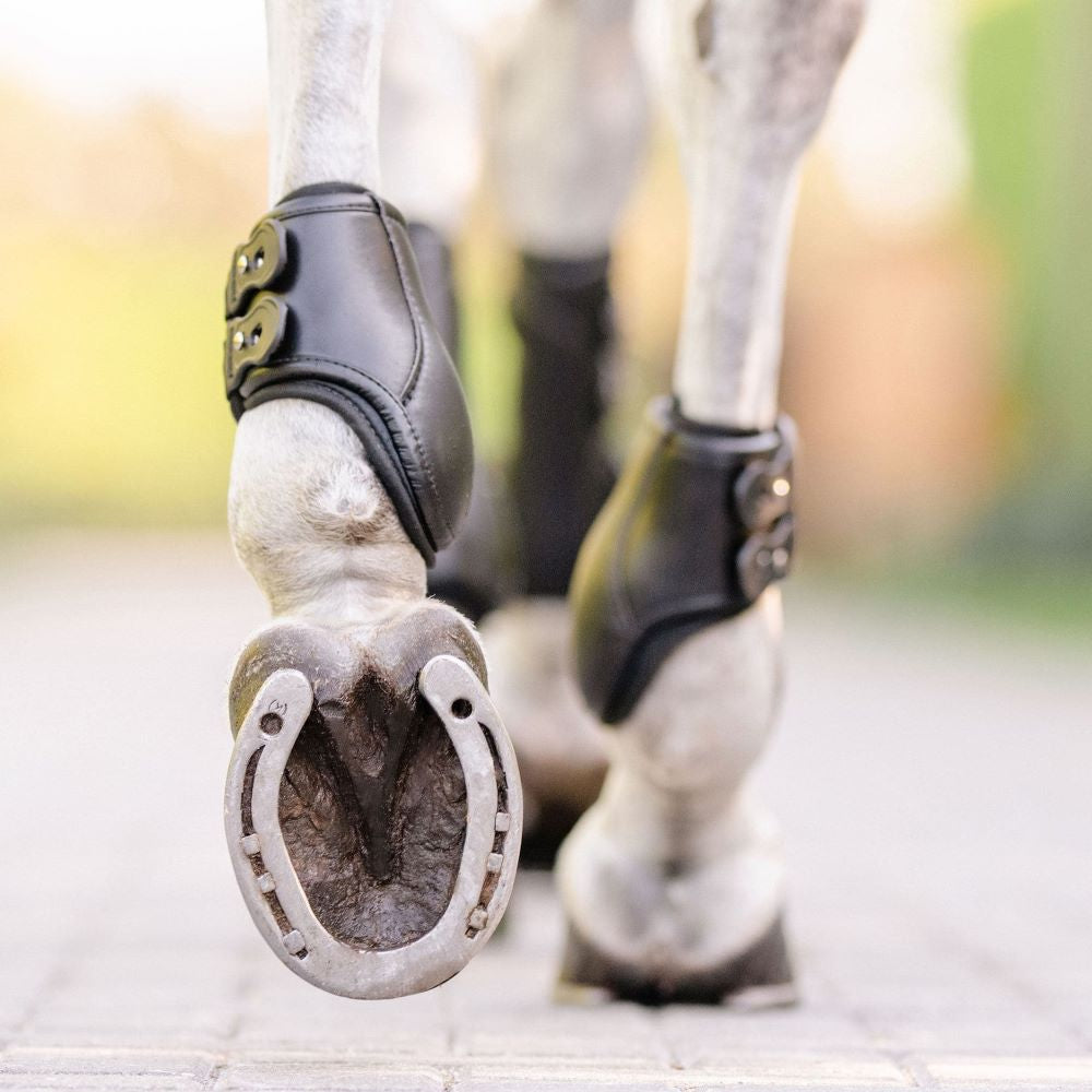 EquiFit Eq-Teq Hind Boots