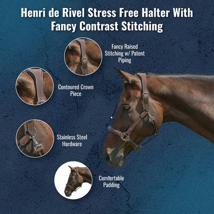 Henri de Rivel Stress Free Halter With Fancy Contrast Stitching