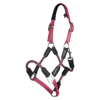 HKM Nele Halter