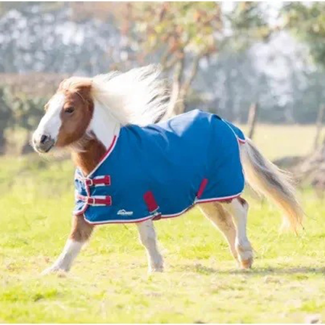 Shires Minature Highlander Lite
