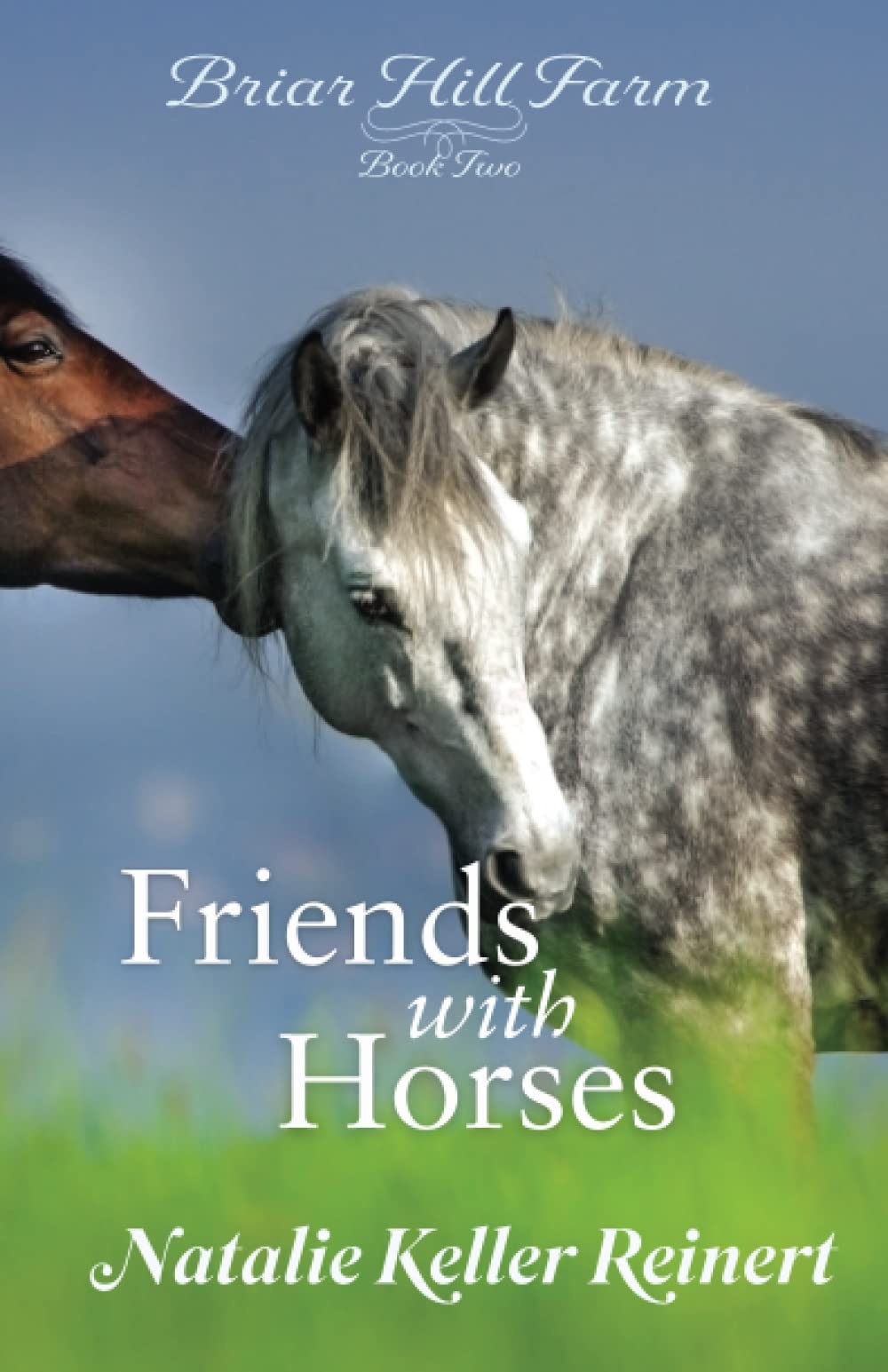 Friends With Horses (Briar Hill Farm Book 2)