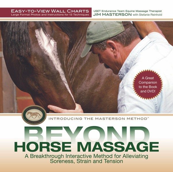 Beyond Horse Massage Wall Charts