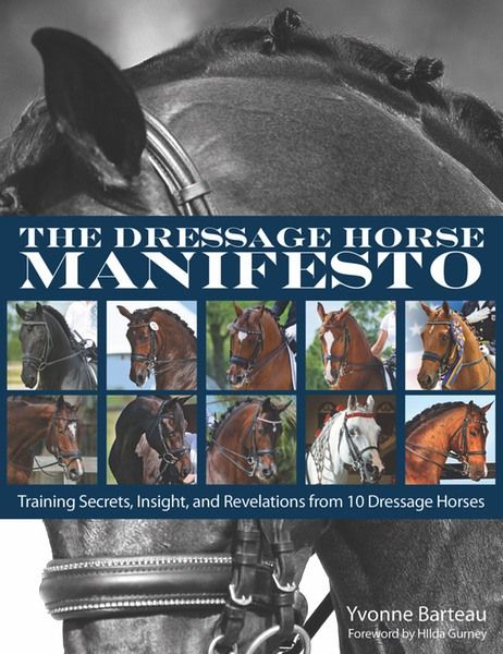 The Dressage Horse Manifesto
