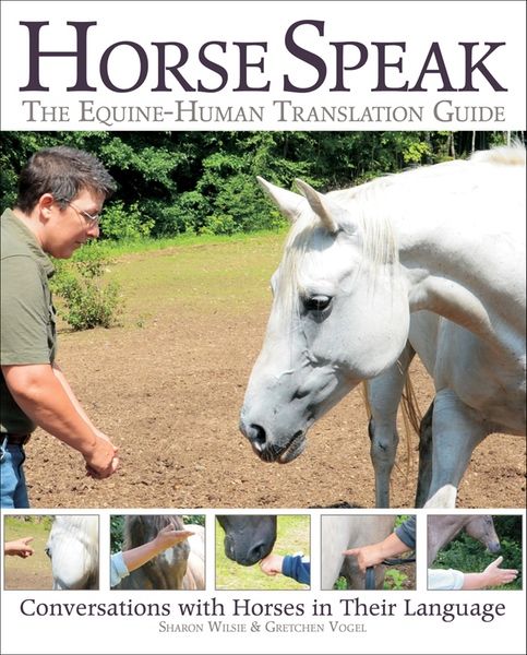 Horse Speak: The Equine-Human Translation Guide