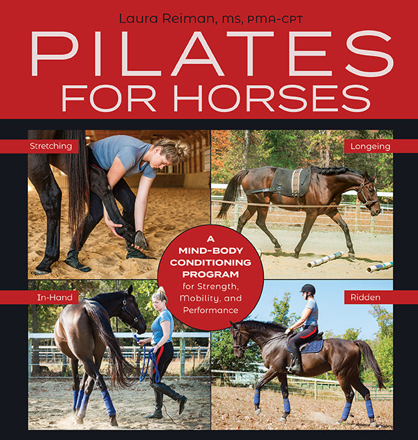 Pilates for Horses