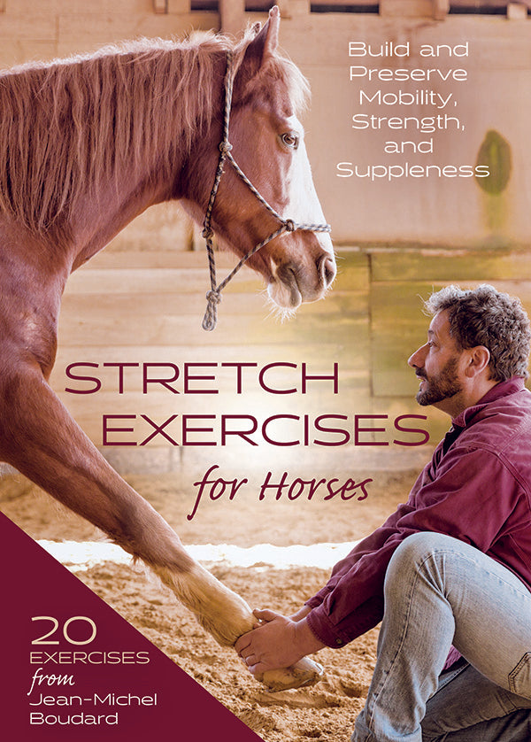 Stretch Exercises for Horses