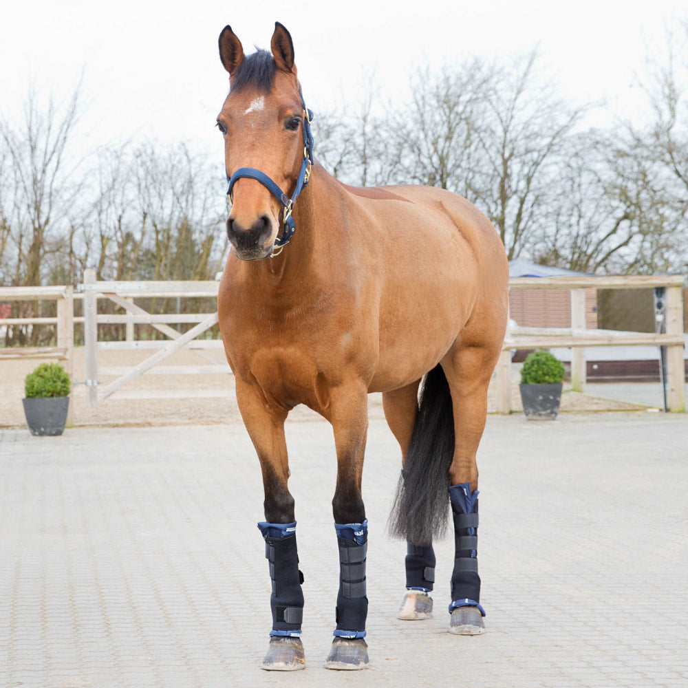 Horze Stable Boots Pro - Front-Horse