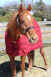 TuffRider Scrim Sheet - Breeches.com