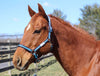 TuffRider Nylon Breakaway Halter & Lead Set - Breeches.com