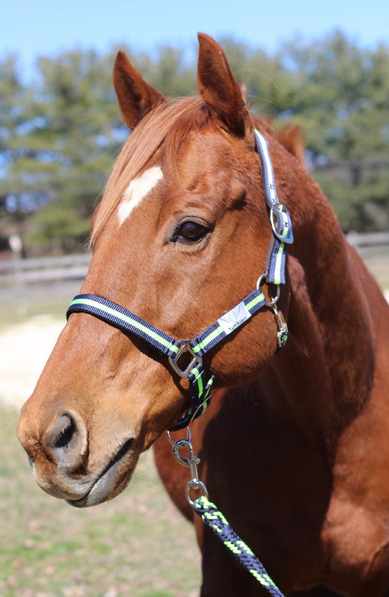 TuffRider Nylon Breakaway Halter & Lead Set - Breeches.com