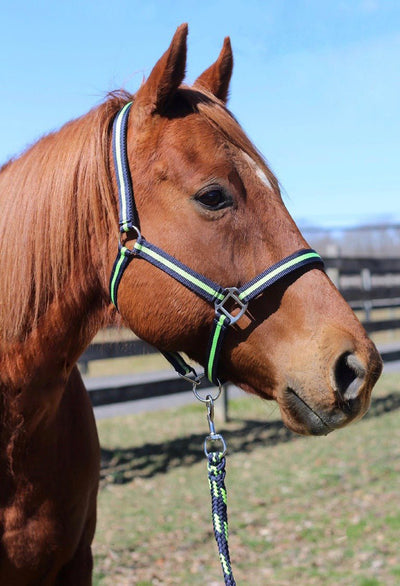 TuffRider Nylon Breakaway Halter & Lead Set - Breeches.com