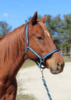 TuffRider Nylon Breakaway Halter & Lead Set - Breeches.com