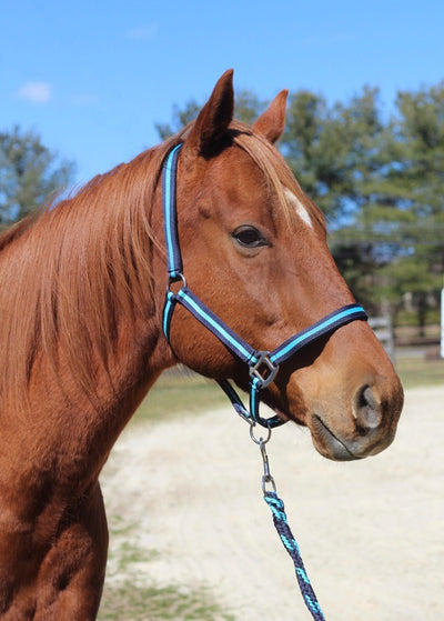 TuffRider Nylon Breakaway Halter & Lead Set - Breeches.com